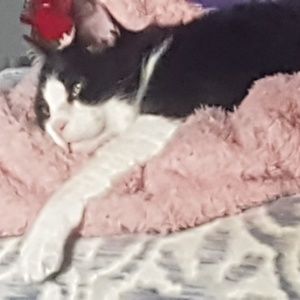 Meet your Posher, Crystal